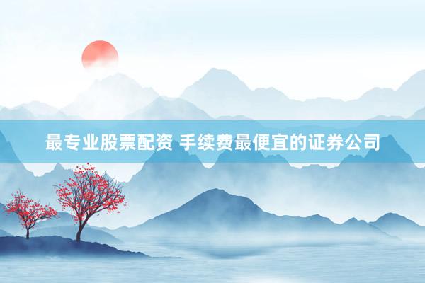 最专业股票配资 手续费最便宜的证券公司