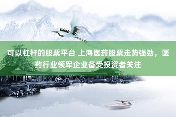 可以杠杆的股票平台 上海医药股票走势强劲，医药行业领军企业备受投资者关注