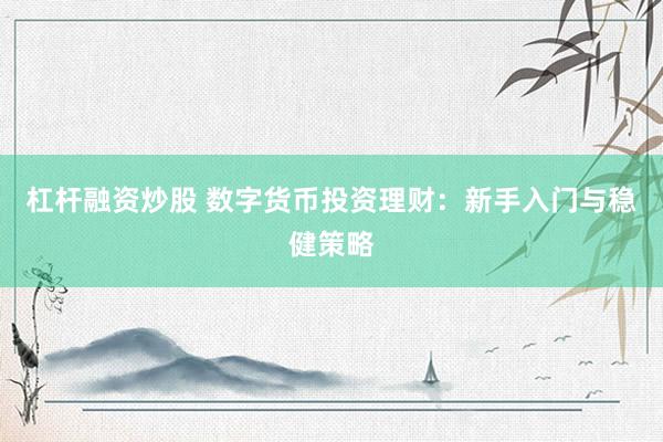 杠杆融资炒股 数字货币投资理财：新手入门与稳健策略