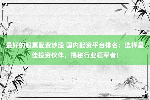 最好的股票配资炒股 国内配资平台排名：选择最佳投资伙伴，揭秘行业领军者！