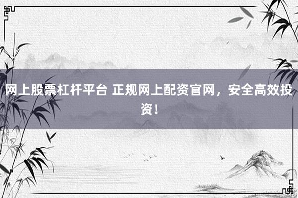 网上股票杠杆平台 正规网上配资官网，安全高效投资！