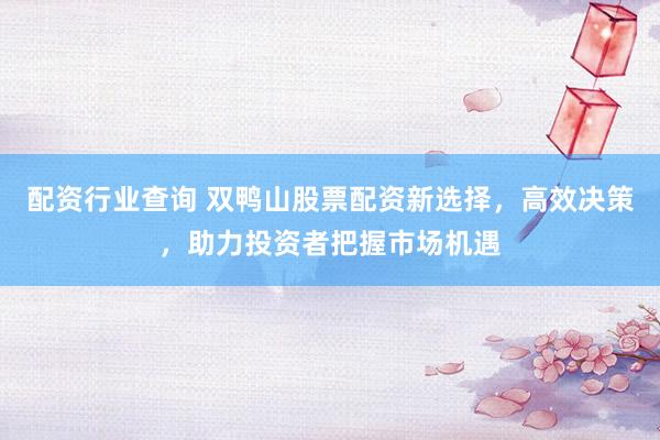 配资行业查询 双鸭山股票配资新选择，高效决策，助力投资者把握市场机遇