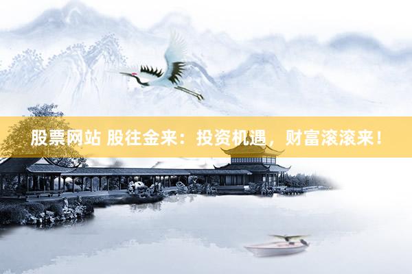 股票网站 股往金来：投资机遇，财富滚滚来！