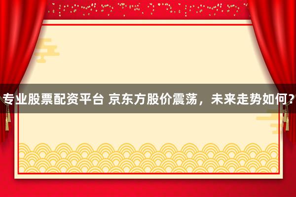 专业股票配资平台 京东方股价震荡,未来走势如何?