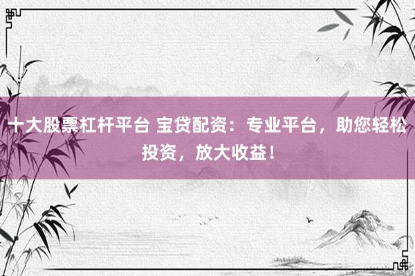 十大股票杠杆平台 宝贷配资：专业平台，助您轻松投资，放大收益！
