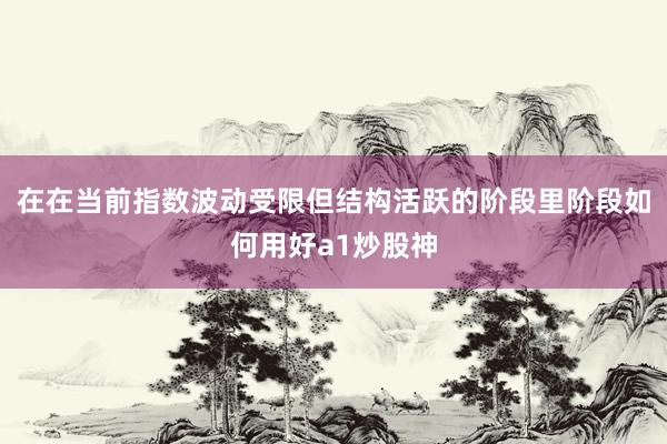 在在当前指数波动受限但结构活跃的阶段里阶段如何用好a1炒股神