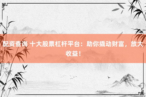 配资查询 十大股票杠杆平台：助你撬动财富，放大收益！