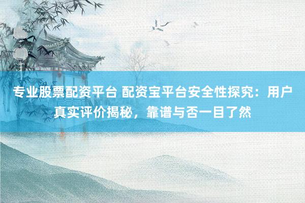 专业股票配资平台 配资宝平台安全性探究：用户真实评价揭秘，靠谱与否一目了然